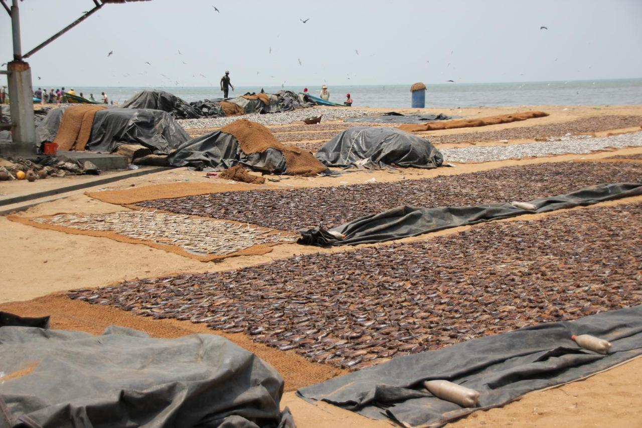 Oyo 317 Choy'S Waterfront Residence Negombo Exterior foto